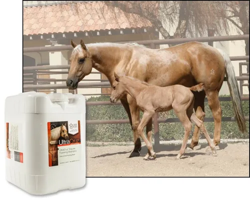 Vista 4 de UltraCruz Champú espumoso equino, 5 galones