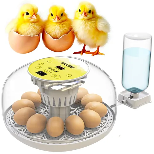 Vista 8 de Okkobi M12 - Incubadora de huevos con girador automático y control de humedad, 12/24 huevos, vista de 360°, fácil de usar y limpiar, Incubadora