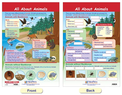 Vista 2 de NewPath Learning -94-1501 All About Animals - Juego de tablones de anuncios (paquete de 5)