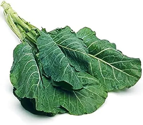 Vista 4 de Champion Collard Seeds - Hojas deliciosas parecidas a la col azul-verde