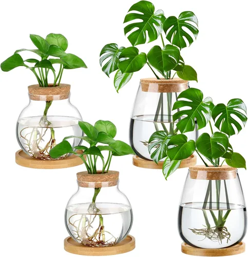 Vista 9 de Layhit 4 piezas de estaciones de propagación de plantas, jarrones de vidrio con tapa de madera y soporte de bambú para plantas hidropónicas, regalos