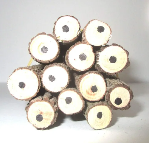 Vista 5 de World Buyers Lápiz ramita de rama de madera de grafito 5 pulgadas (1)