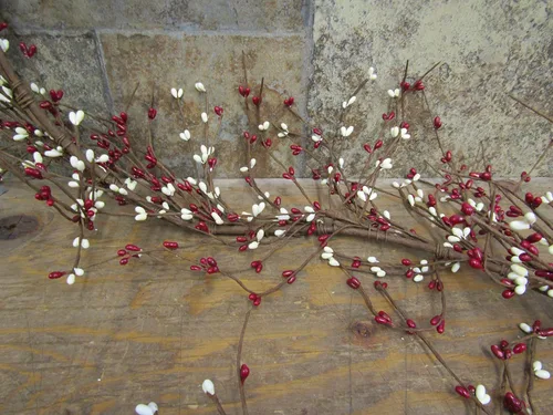 Vista 2 de Gorgeous Primitiva 55" Crema y rojo PIP Arroz Berry guirnalda flexible y Bendable
