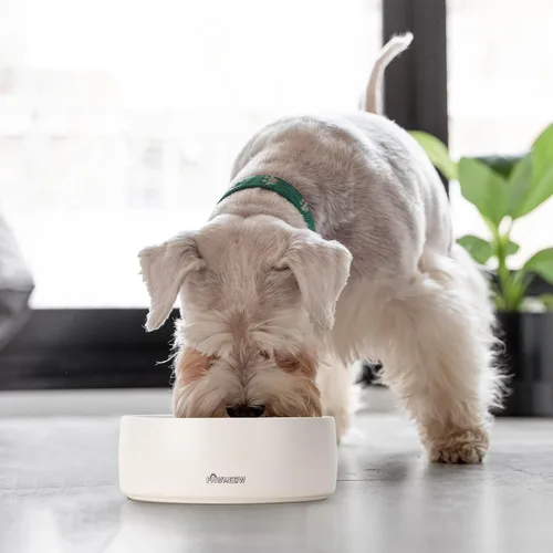 Vista 6 de Cuenco de cerámica para perros – Comedero para perros pequeños y medianos de 5.5 pulgadas, resistente a derrames, cuenco moderno y resistente