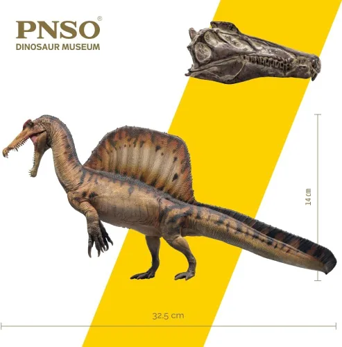 Vista 4 de Serie de museos de dinosaurios PNSO (AYMEN El Spinosaurus, modelo de arte científico de escala 1:35) 12.8" Spinosaurus Exhibit Set - Skull Fossil