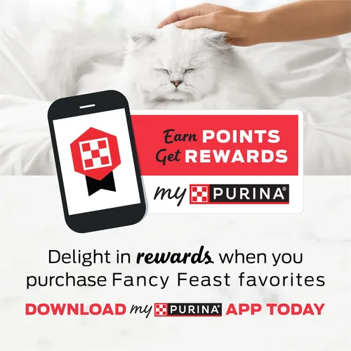 Vista 10 de Purina Fancy Feast - Comida seca para gatitos con pollo y pavo salado - Bolsa de 1.4 kg