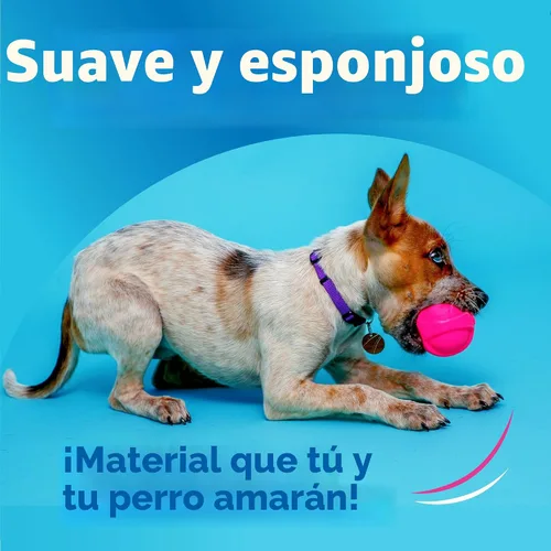 Vista 2 de Hartz DuraPlay - Juguetes perfumados para perros con aroma a tocino, tamaño pequeño (varios colores)