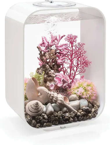 Vista 13 de biOrb Life 15 - Acuario acrílico de 4 galones con luces LED blancas, tanque compacto moderno para mesa o escritorio, negro