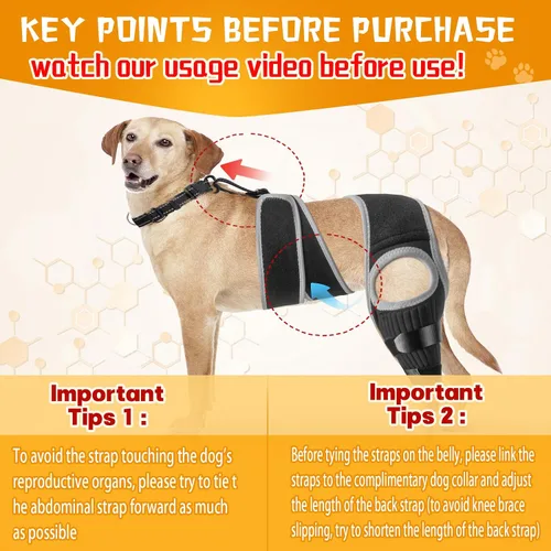 Vista 4 de Rodillera para perro ACL, soporte de cadera para perro para desgarro frontal y trasero, patas traseras de ACL, cómodo y ajustable, soporte