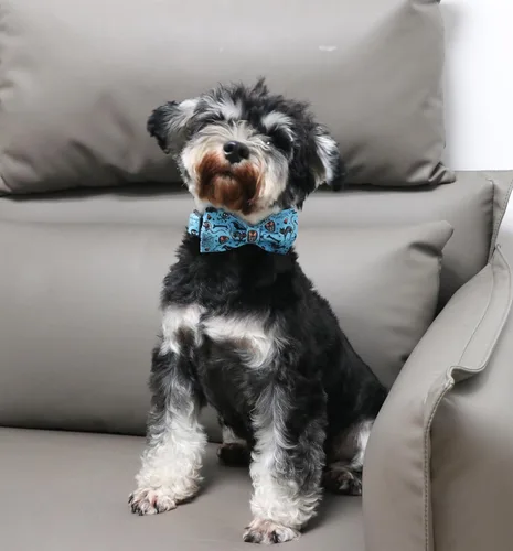 Vista 4 de Unique Style Paws Collar de perro de Halloween con lazo de algodón lindo pajarita para perros pequeños, medianos y grandes, vacaciones