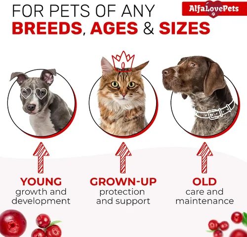 Vista 5 de Multivitamínico líquido para perros – Multivitaminas para gatos de interior – 10 en 1 vitaminas líquidas para perros complejo B, C, D3 – Digestión