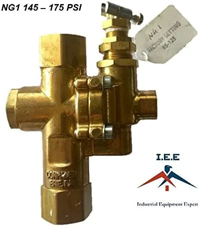 Vista 2 de IEE NG1 1/2" x 1/2" NPT COMPRESOR DE AIRE DE GAS DESCARGADOR VÁLVULA DE REDUCCIÓN COMBO 145 - 175