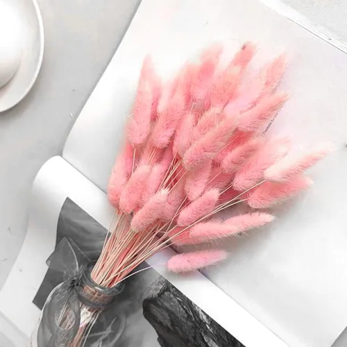 Vista 8 de 60 piezas de flores secas de cola de conejo, arreglo floral natural seco, ramo de decoración de hierba seca, flores eternas secas para el hogar
