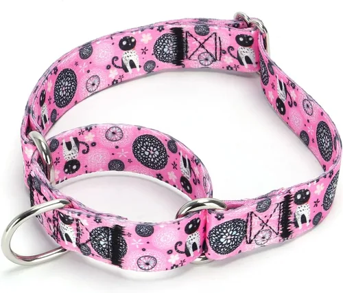 Vista 41 de Collar de perro de nailon resistente, collar ajustable de martingala para perros para caminar y entrenamiento para perros machos y hembras perros