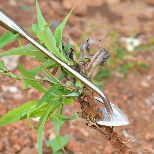 Vista 8 de VIGAN 1 Uds. Multifuncional Jardín Weeders Hierba Rooting Suelo Suelto Eliminación de Deshierbe de mano Extractor de Deshierbe Acero Inoxidable