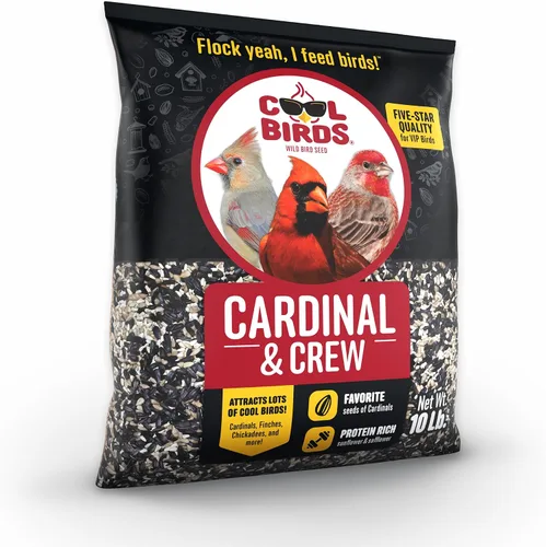 Vista 2 de Cool Birds Cardinal & Crew Semilla para Aves Silvestres – 10 lb. Girasol de Aceite Negro, Corazones de Girasol y Mezcla de Cártamo para Cardenales
