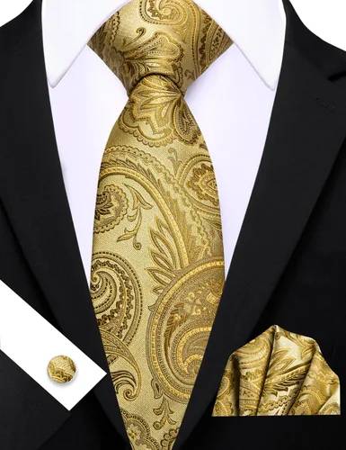 Vista 240 de Barry.Wang - Juego de corbata de seda para hombre, diseño de cachemira, pañuelo y gemelos de bolsillo