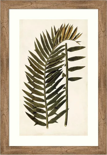 Vista 17 de Amanti Art Vision Studio - Lienzo decorativo para pared, 24 x 17 pulgadas, variedades de hojas VIII, arte de pared de naturaleza, decoración