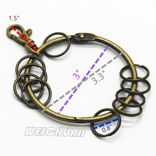 Vista 3 de WEICHUAN Llavero de metal de bronce antiguo, anillo circular grande con 10 anillos pequeños (paquete de 1)