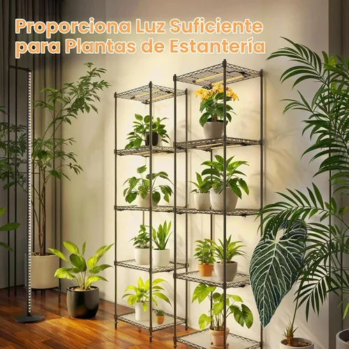 Vista 3 de Bstrip Luz de cultivo de pie para plantas de interior, luz de crecimiento vertical con 3 modos de luz, iluminación amplia y regulable, luces