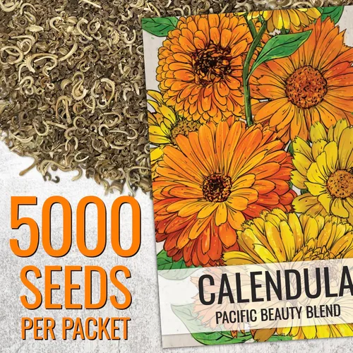 Vista 3 de Seed Needs semillas de Caléndula Pacific Beauty Mix más de 5,000 semillas Calendula Officinalis no modificadas genéticas anuales grandes flores