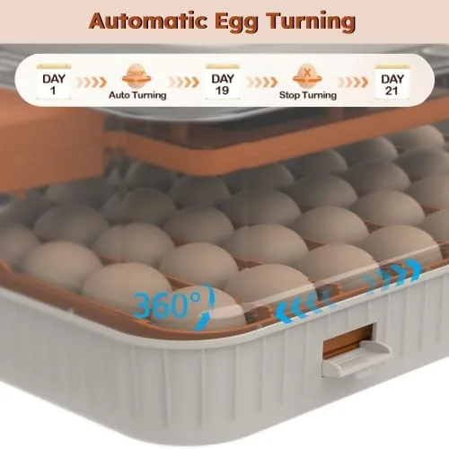 Vista 7 de Incubadora de 56 huevos con giro automático de huevos y control de humedad, visualización de 360°, incubadora de pollo para incubar huevos de pato