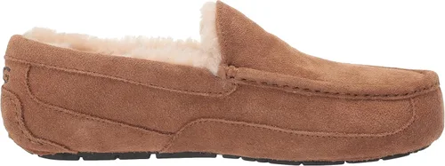 Vista 6 de UGG Pantuflas Ascot para hombre Negro