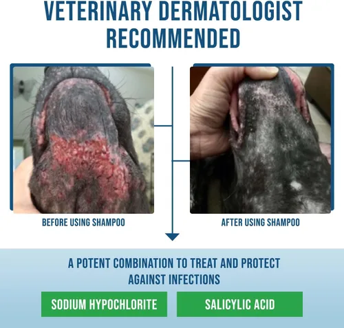 Vista 5 de Champú medicado hipoalergénico para perros con ácido salicílico, piel y cabello sensibles, con picazón y lavado y eliminador de olores (4 onzas)