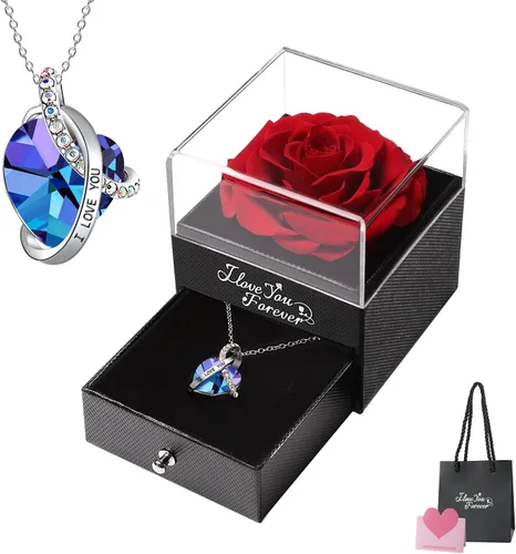 Vista 16 de Emibele - Regalos de rosa preservada para mujer, caja de rosa eterna con collar de corazón, regalos románticos con mensaje "te amo" para mujeres