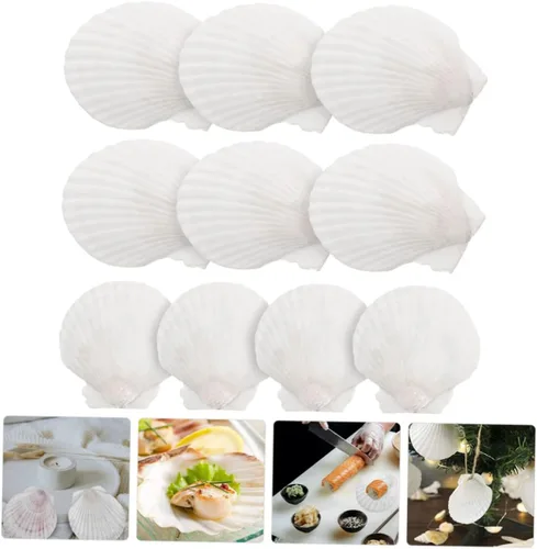Vista 5 de Healifty Platos de concha de vieira 10 piezas de decoración natural de conchas para decoración de barbacoa de cena