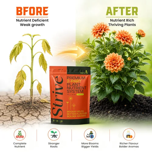 Vista 5 de Strive Fertilizer Part A Package – Nutrientes hidropónicos generales Veg + Bloom – Alimento vegetal de primera calidad para interiores, exteriores