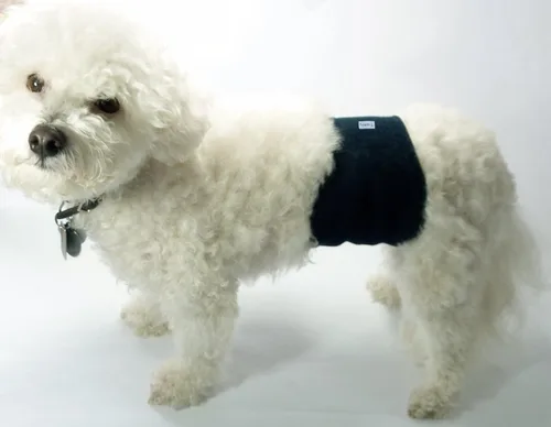 Vista 9 de Pañales envolventes reusables para perros machos, banda para barriga para cachorros lavable, Teamoy
