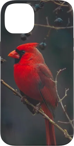 Vista 15 de Funda para iPhone 16 Cardinal Bird