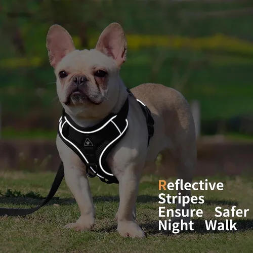 Vista 5 de Arnés para perro Jolifield sin tirones con juego de correa para perros pequeños, arnés de chaleco para gatos con clip frontal ajustable reflectante