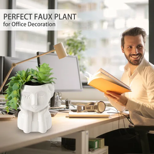Vista 5 de Oairse - Plantas suculentas artificiales en macetas de cerámica, plantas falsas en macetas, plantas falsas de interior para oficina, escritorio