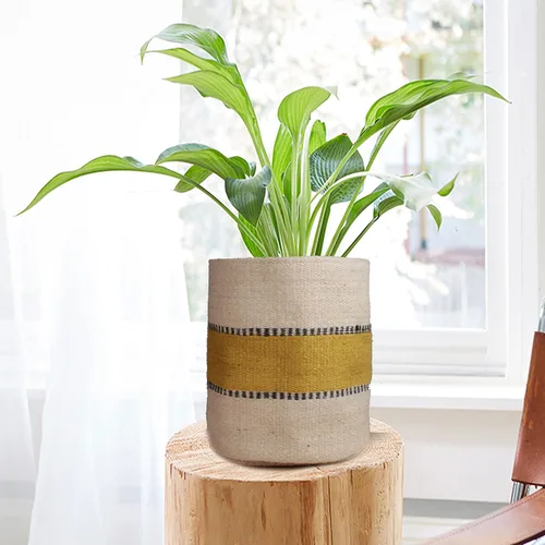 Vista 22 de Cesta de Maceta de Yute Resistente, Cesta Tejida Moderna, Maceta para Flores, Maceteros de Interior para Suelo, Cesta Organizadora de Almacenamiento