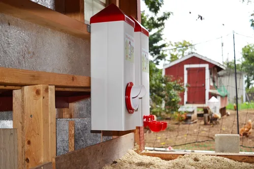 Vista 5 de RentACoop Alimentador de pollo de un solo puerto sin BPA de tiro alto de 10 libras, incluye tapa anti-gallina, capucha de lluvia y accesorios