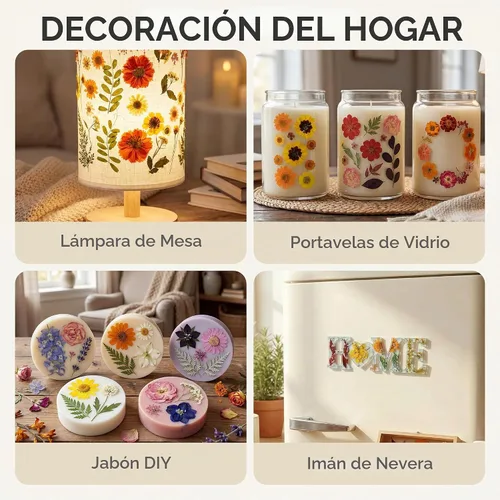 Vista 6 de LUXEEASE 120P Amarillo Naranja Rojo Flores Secas Prensadas Amarillo y naranja 120 piezas