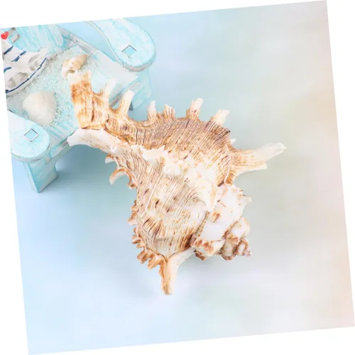 Vista 4 de FOMIYES Conch Ornament for Aquarium Natural Landscape Accessory 10-11cm Fish Tank Decoration Shell Ornament