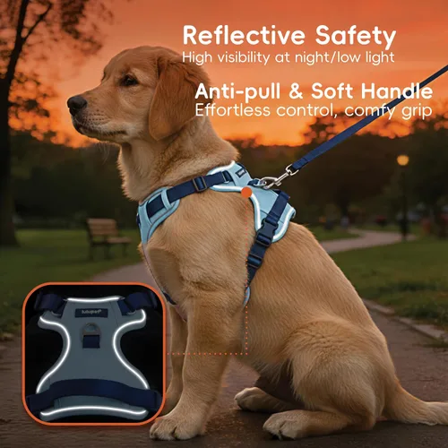 Vista 4 de Arnés para Perro Sin Tirones, Juego de Correa y Collar, Chaleco Suave y Ajustable para Perros, Reflectante y con Mango Cómodo Azul, Talla Pequeña
