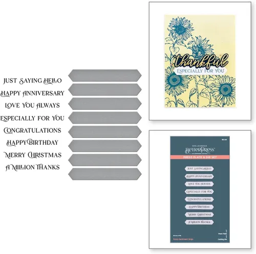 Vista 2 de Spellbinders BP-091 Fancy Sentiment Strips Press Plate & Die Set