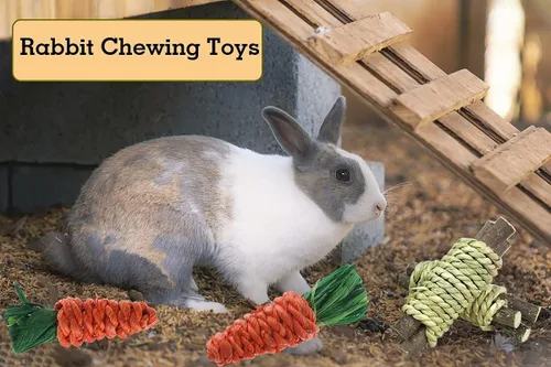 Vista 5 de Paquete de 13 juguetes para masticar conejo para animales pequeños – Conejito natural bolas de actividad de heno conejo, palitos de manzana, dulce