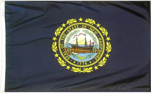 Vista 5 de Bandera de New Hampshire (2 pies x 3 pies) USA-Made to Official State Design Specifications