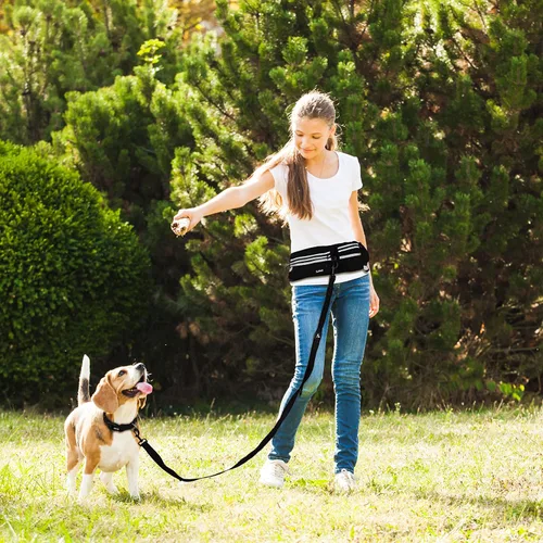 Vista 9 de Correa de perro manos libres para perros grandes (Cintura 26-48 pulgadas, L 1 x 5 pies) Cinturón de neopreno ajustable con correa elástica