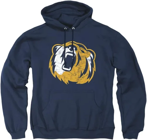 Vista 67 de Distressed College Primary Logo Adult Pullover Hoodie Collection 1 Universidad Estatal de Albany