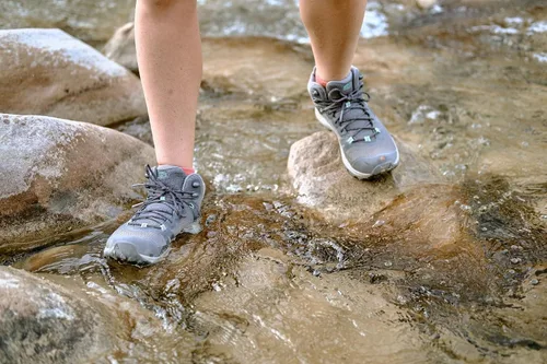 Vista 5 de KEEN Terradora 2 - Botas de senderismo impermeables para mujer, de altura media