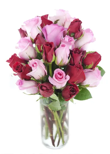 Vista 20 de KaBloom - Rosas arcoíris (media docena)- Flores frescas para cumpleaños, San Valentín y Día de la Madre