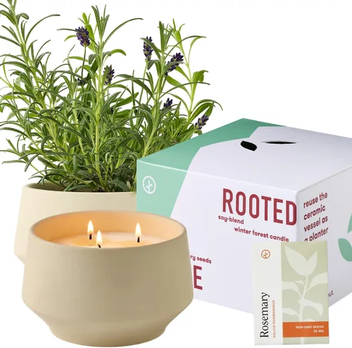 Vista 21 de Modern Sprout Maceta de vela de soja, crece albahaca, aroma a albahaca