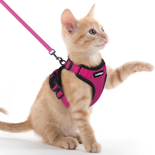 Vista 103 de rabbitgoo Cat Harness and Leash Set, Escape Proof Vest, XXS, Berry Pounce Soft Breathable Mesh, No-choke Adjustable Fit, Snap Buckles, Sturdy