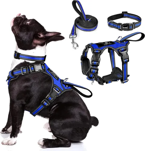Vista 13 de Juego de arnés reflectante todo en uno para perro, collar y correa, sin tirones con hebillas ajustables, talla XL, azul oscuro